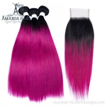 Amanda Wholesale Price Cuticle Aligned Human Hair Bundles with Closure Two tone color Hair T1b Purple
